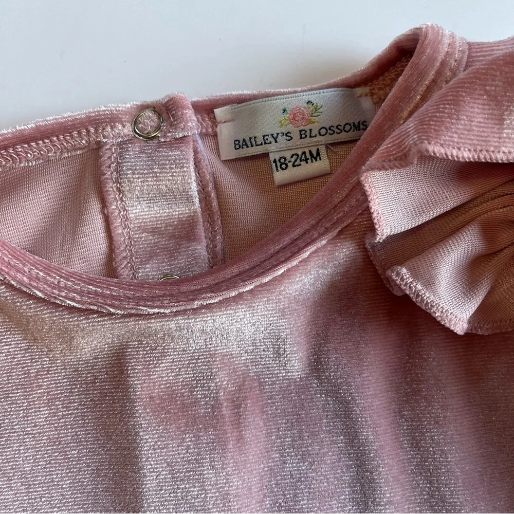 Baileys‎ Blossoms Infant Girls 18-24 Month Bundle Western Pearl Snap Velour